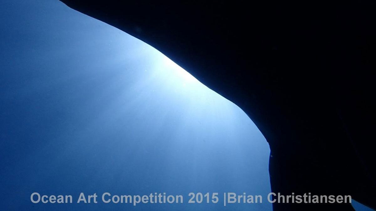 Фотография: Лучшие подводные фотографии 2015 года №13 - BigPicture.ru