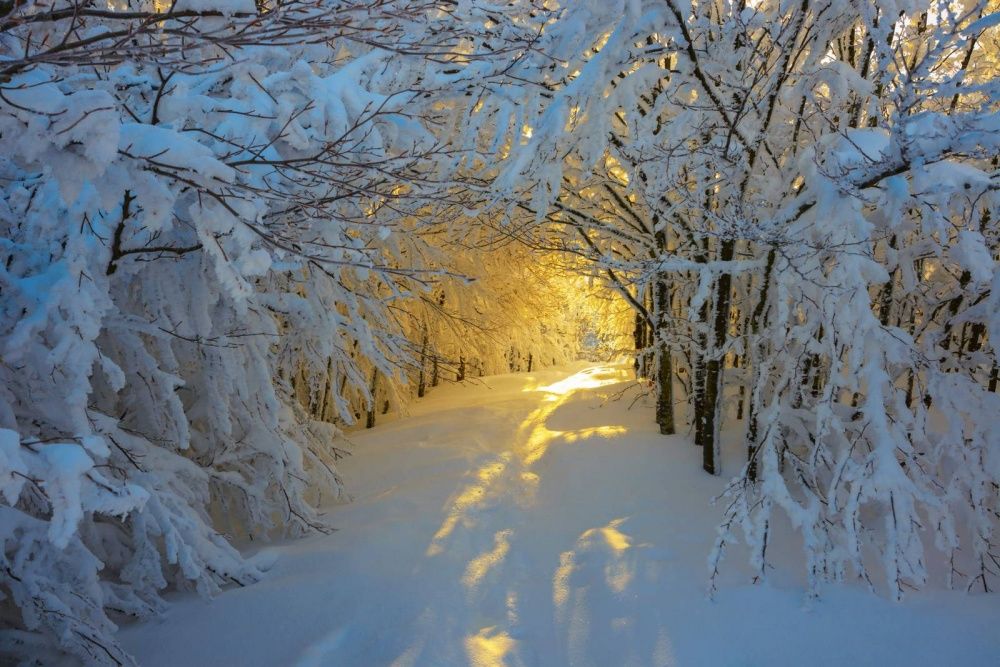 Фотография: 20 мест, где зима сказочно прекрасна №15 - BigPicture.ru