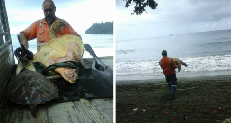 Фотография: Эти мужчины покупают морских черепах, чтобы выпустить их обратно в море №1 - BigPicture.ru