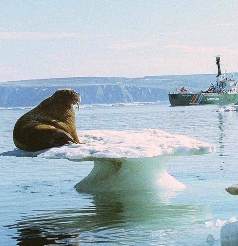 Фотография: 20 необыкновенных фотографий, которые ломают все известные законы физики №13 - BigPicture.ru