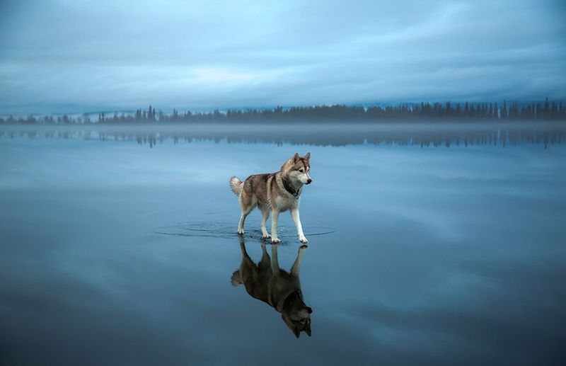 Фотография: 20 необыкновенных фотографий, которые ломают все известные законы физики №18 - BigPicture.ru