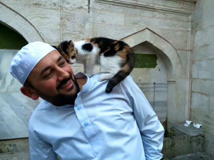 Фотография: Имам пускает погреться бездомных кошек в мечеть №8 - BigPicture.ru