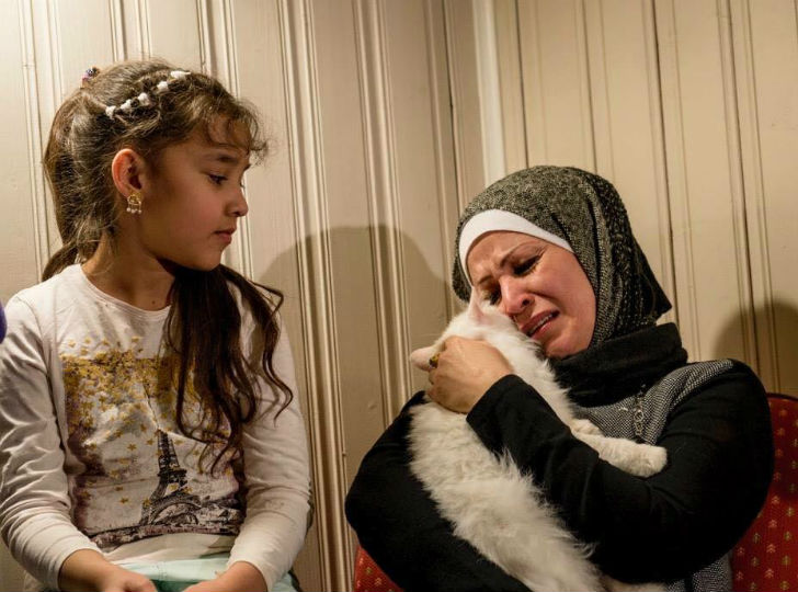Фотография: Потерявшийся кот вернулся в семью иракских беженцев, преодолев полмира №1 - BigPicture.ru
