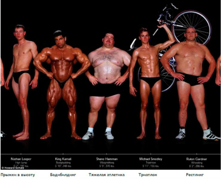 Фотография: Как выглядят тела олимпийских спортсменов в зависимости от вида спорта №14 - BigPicture.ru