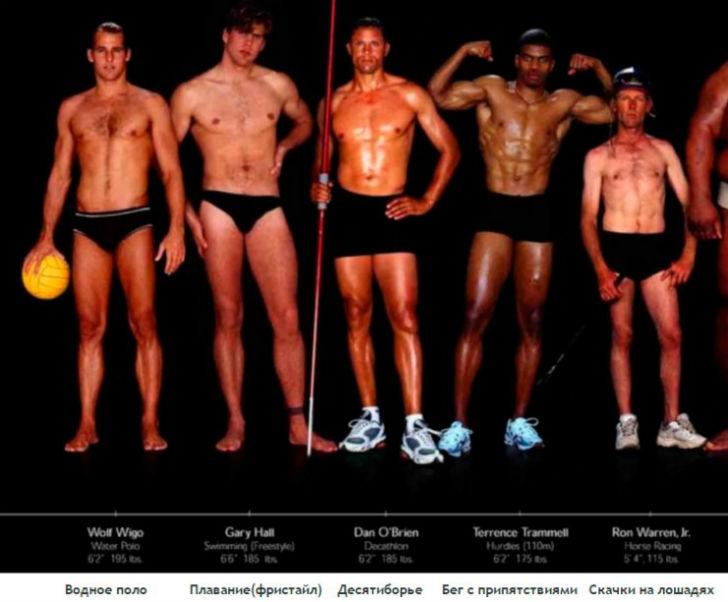 Фотография: Как выглядят тела олимпийских спортсменов в зависимости от вида спорта №9 - BigPicture.ru