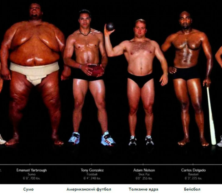 Фотография: Как выглядят тела олимпийских спортсменов в зависимости от вида спорта №7 - BigPicture.ru