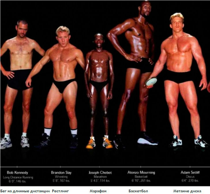 Фотография: Как выглядят тела олимпийских спортсменов в зависимости от вида спорта №5 - BigPicture.ru