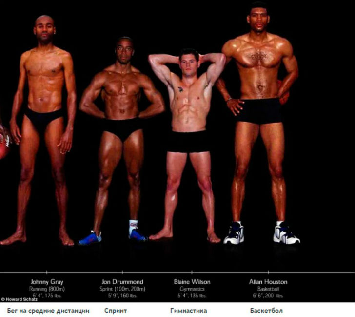 Фотография: Как выглядят тела олимпийских спортсменов в зависимости от вида спорта №3 - BigPicture.ru