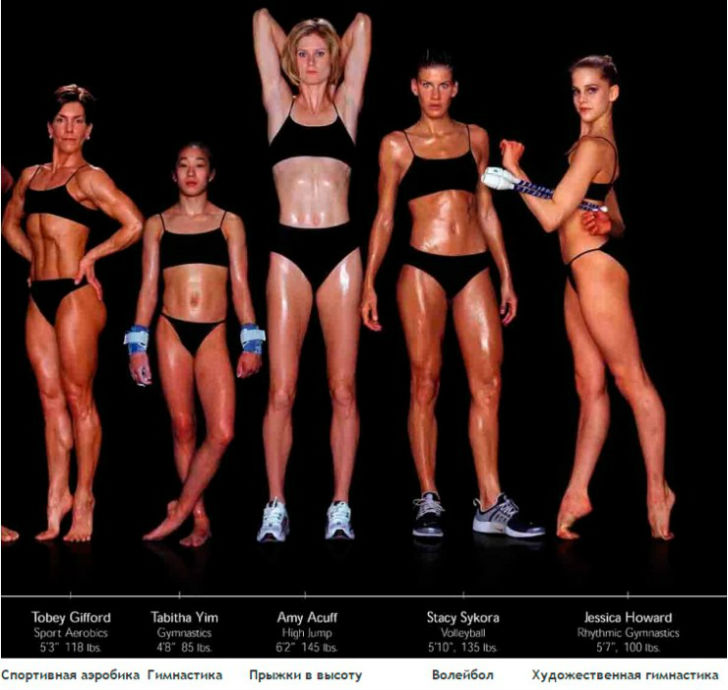 Фотография: Как выглядят тела олимпийских спортсменов в зависимости от вида спорта №2 - BigPicture.ru