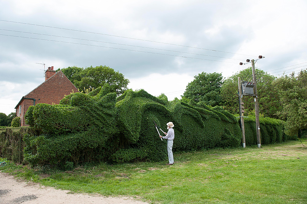 Фотография: Джон Бурерожденный: англичанин вырастил дракона на своей лужайке №5 - BigPicture.ru