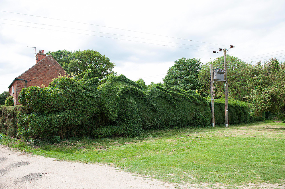 Фотография: Джон Бурерожденный: англичанин вырастил дракона на своей лужайке №4 - BigPicture.ru