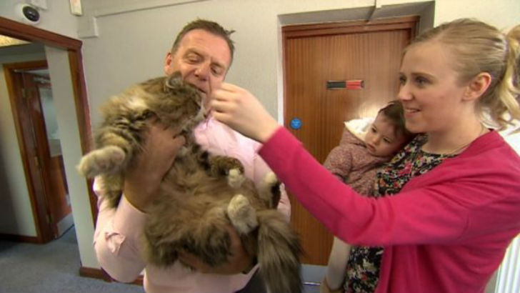 Фотография: Толстый и довольный кот, пропавший более года назад, нашелся на фабрике зоокорма №6 - BigPicture.ru