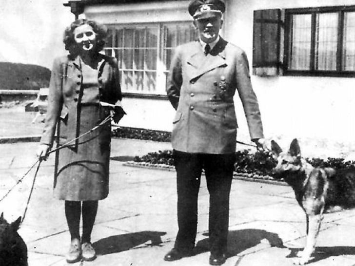 Фотография: Как нацисты учили собак говорить, читать и писать №2 - BigPicture.ru