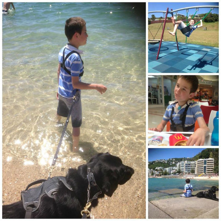 Фотография: Мальчику с аутизмом может помочь только его друг — собака №6 - BigPicture.ru