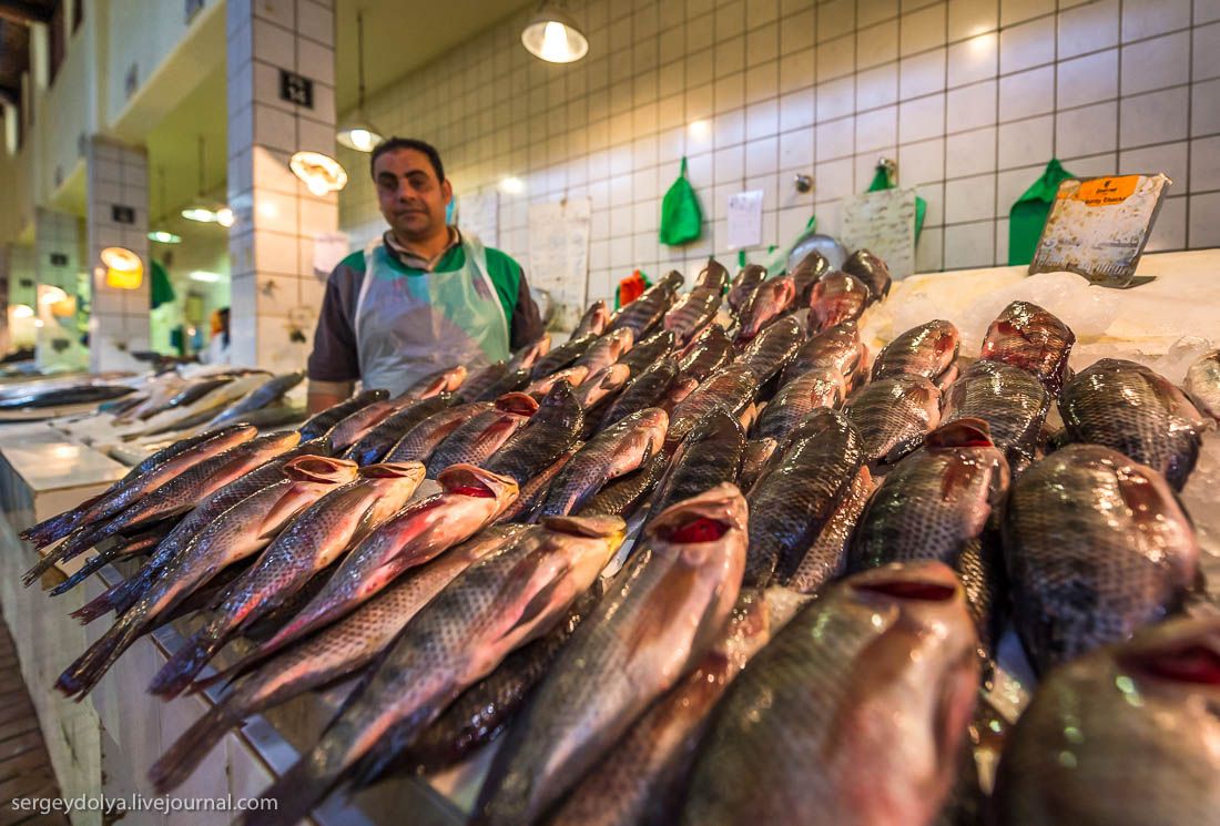 Фотография: Как работают рынки в Кувейте №25 - BigPicture.ru