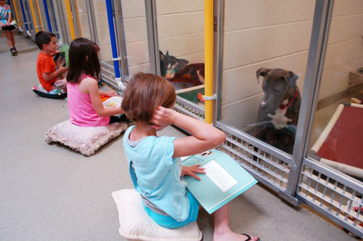 Фотография: Дети читают вслух в приюте для животных, чтобы помочь запуганным и застенчивым собакам адаптироваться №7 - BigPicture.ru