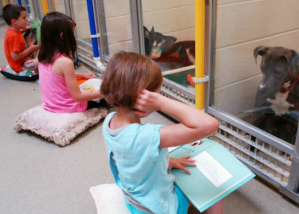 Дети читают вслух в приюте для животных, чтобы помочь запуганным и застенчивым собакам адаптироваться