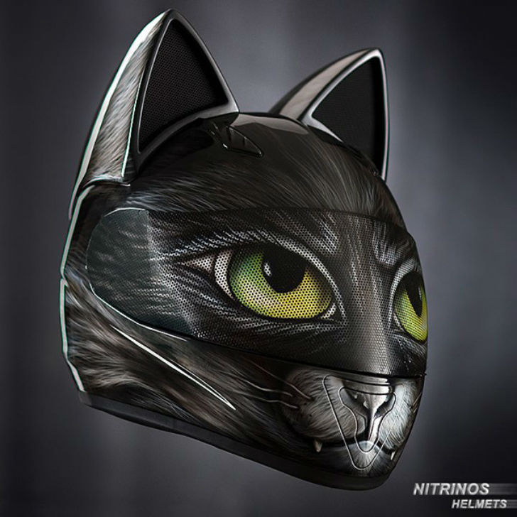 Фотография: Шлем для настоящей женщины-кошки №5 - BigPicture.ru