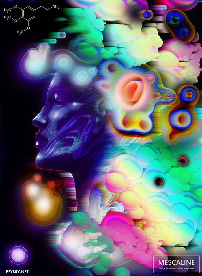 Фотография: Художник принял 20 разных наркотиков, чтобы продемонстрировать воздействие препаратов на мозг человека №18 - BigPicture.ru