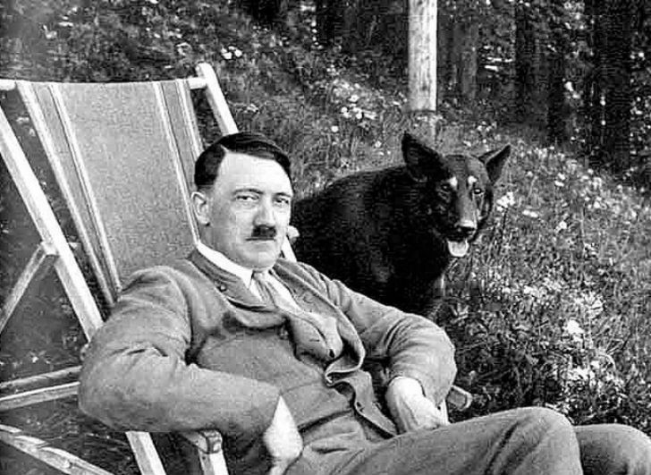 Фотография: Как нацисты учили собак говорить, читать и писать №1 - BigPicture.ru