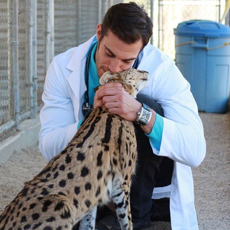 Фотография: 20 милых доказательств того, что ветеринар — это улетная профессия №11 - BigPicture.ru
