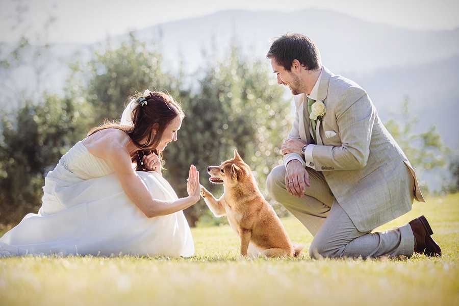 Фотография: 80 лучших свадебных фотографий в мире №30 - BigPicture.ru