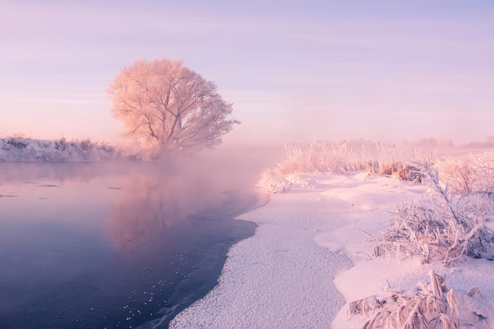 Фотография: Фотограф ежедневно встает рано утром, чтобы запечатлеть красоту зимы №2 - BigPicture.ru