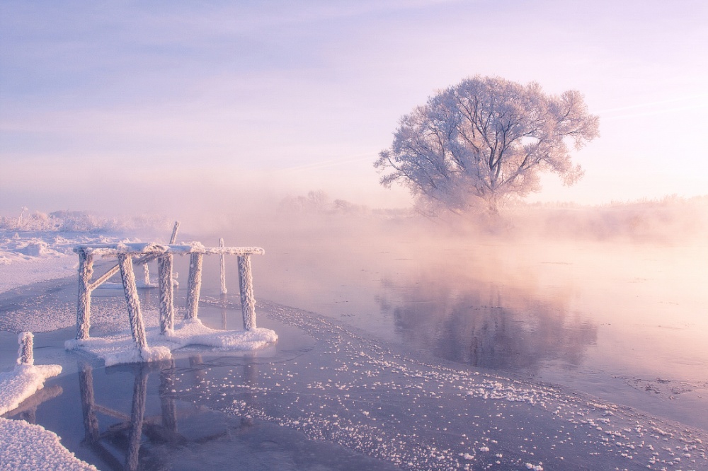Фотография: Фотограф ежедневно встает рано утром, чтобы запечатлеть красоту зимы №4 - BigPicture.ru