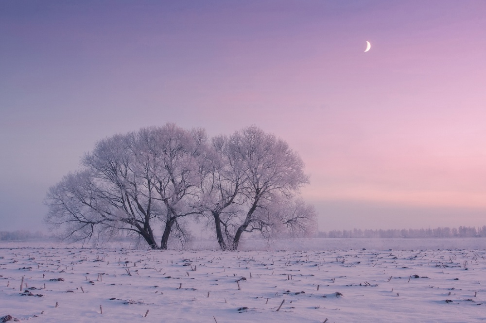 Фотограф ежедневно встает рано утром, чтобы запечатлеть красоту зимы