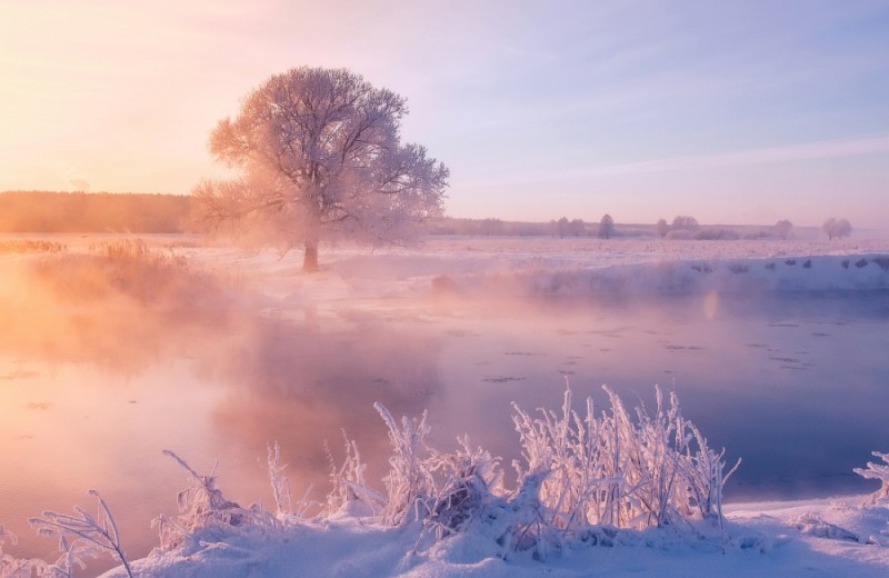 Фотография: Фотограф ежедневно встает рано утром, чтобы запечатлеть красоту зимы №1 - BigPicture.ru