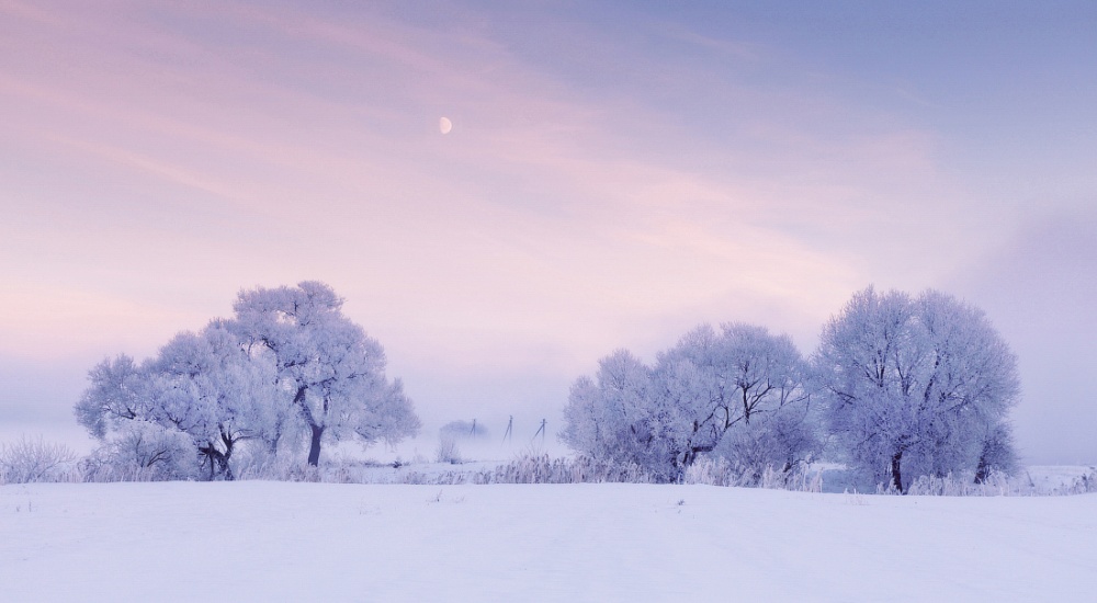 Фотография: Фотограф ежедневно встает рано утром, чтобы запечатлеть красоту зимы №10 - BigPicture.ru