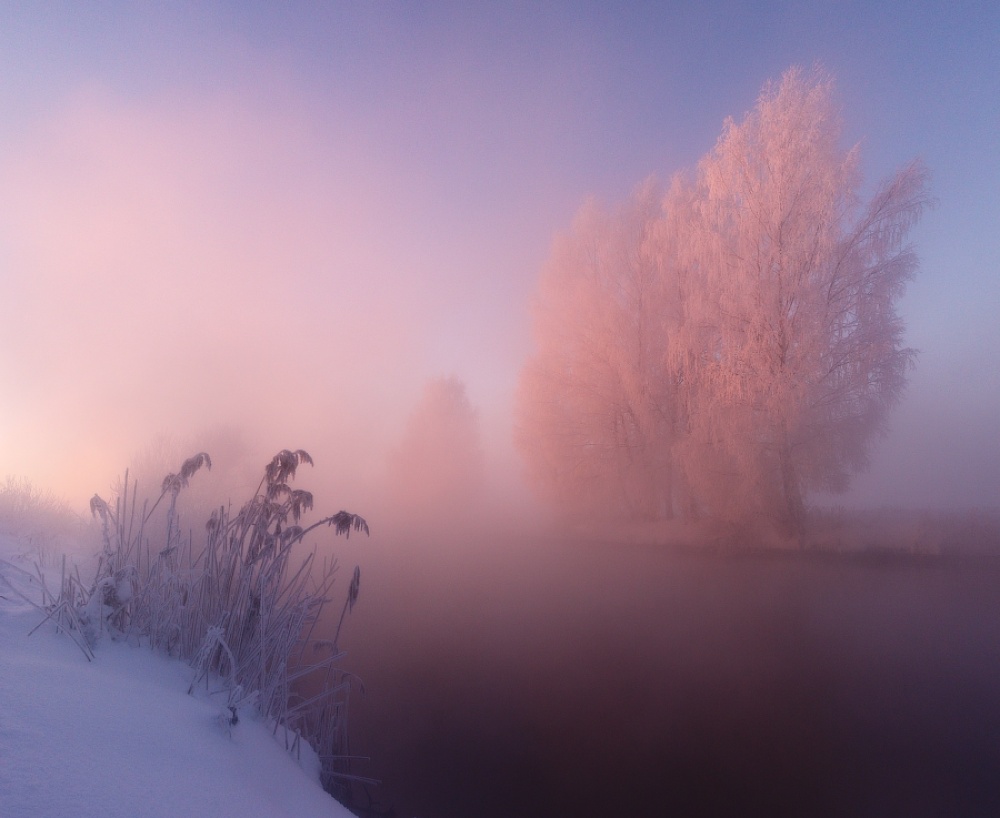 Фотография: Фотограф ежедневно встает рано утром, чтобы запечатлеть красоту зимы №11 - BigPicture.ru