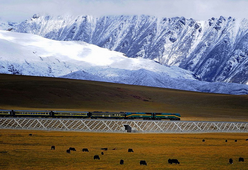 Фотография: Как китайцы построили железную дорогу в Тибет №15 - BigPicture.ru