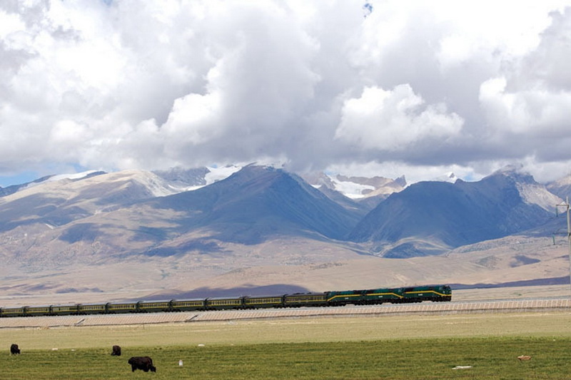 Фотография: Как китайцы построили железную дорогу в Тибет №17 - BigPicture.ru