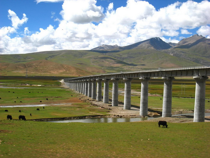 Фотография: Как китайцы построили железную дорогу в Тибет №39 - BigPicture.ru