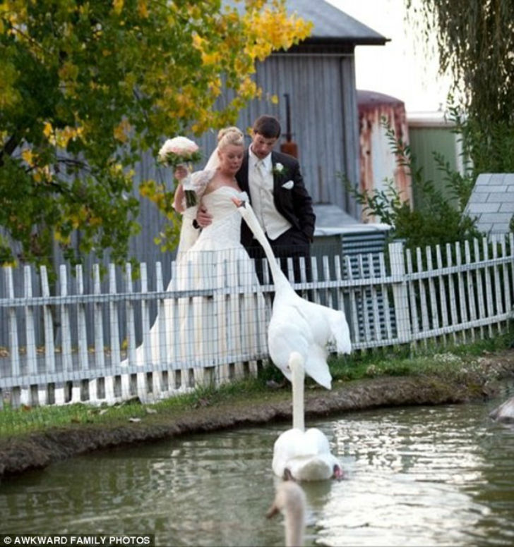 Фотография: Свадебные фотографии, от которых становится действительно горько №10 - BigPicture.ru