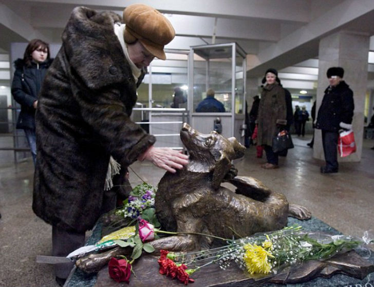 Фотография: Как бездомные собаки ориентируются в московском метро №8 - BigPicture.ru