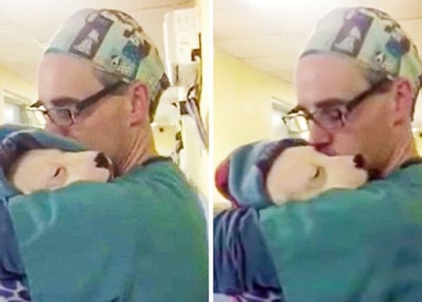 Ветеринар успокаивал щенка после операции как маленького ребенка