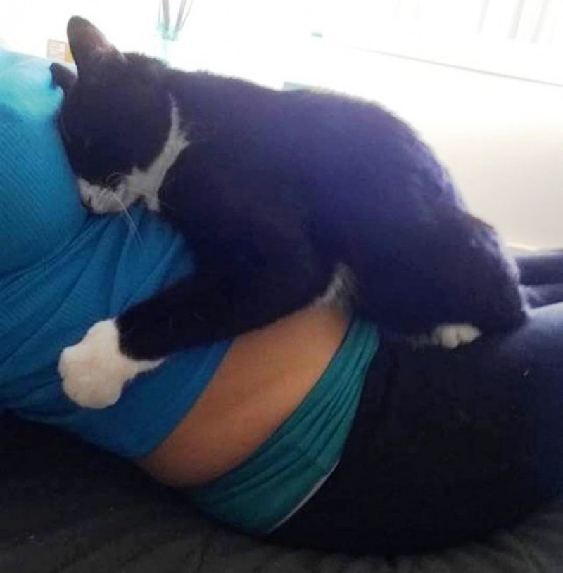 Фотография: Кошка полюбила малыша еще до рождения, а теперь оберегает его №1 - BigPicture.ru