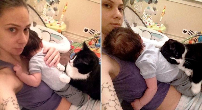 Фотография: Кошка полюбила малыша еще до рождения, а теперь оберегает его №4 - BigPicture.ru