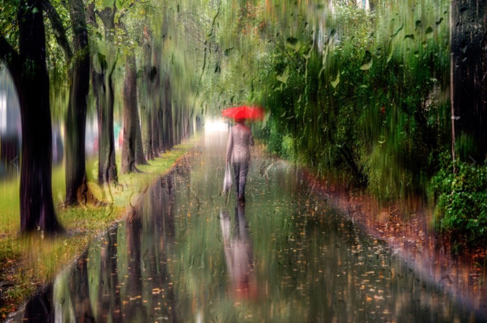 Фотография: 10 магнетических снимков фотографа, влюбленного в дождь №6 - BigPicture.ru