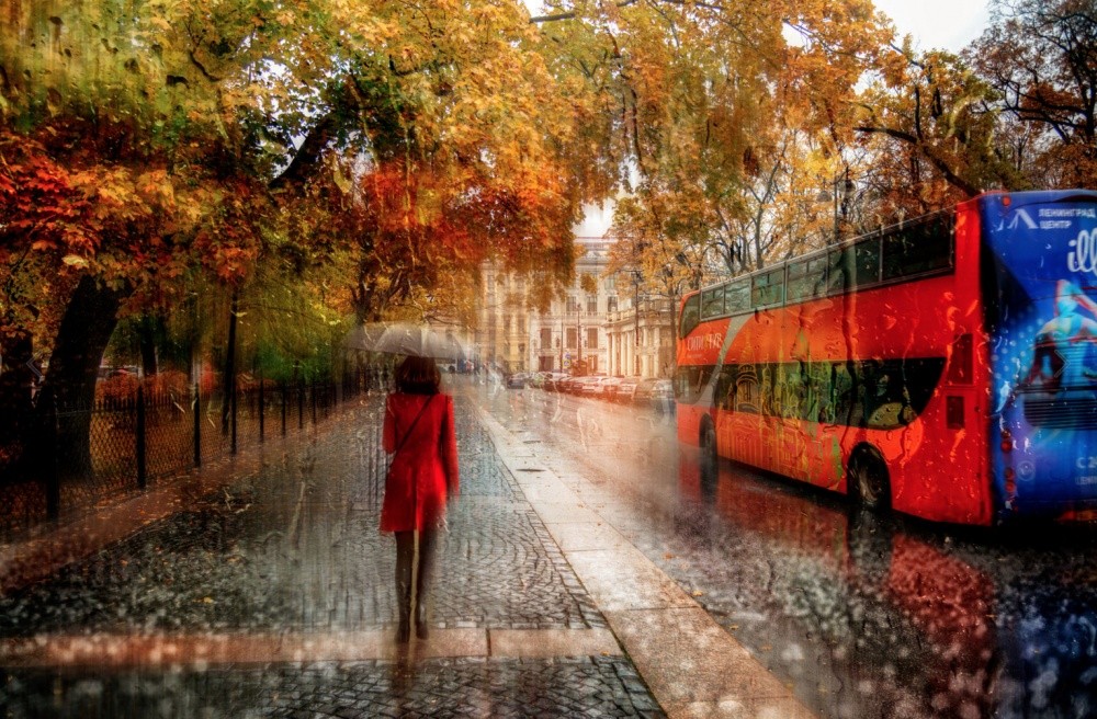 Фотография: 10 магнетических снимков фотографа, влюбленного в дождь №11 - BigPicture.ru