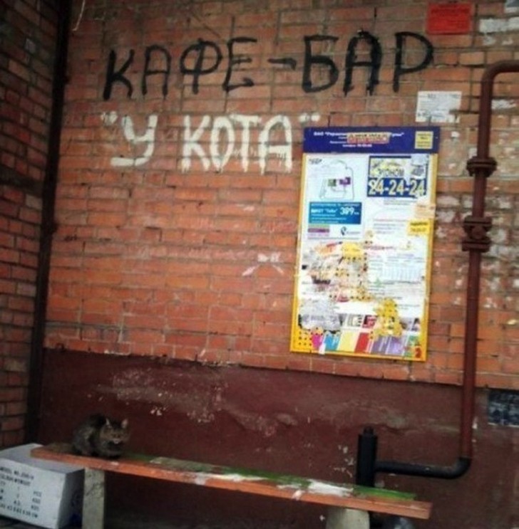 Фотография: 21 кафе, названия которых довели нас до истерики №22 - BigPicture.ru
