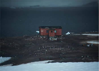Другая Антарктида: ледяной материк, каким вы его никогда не видели