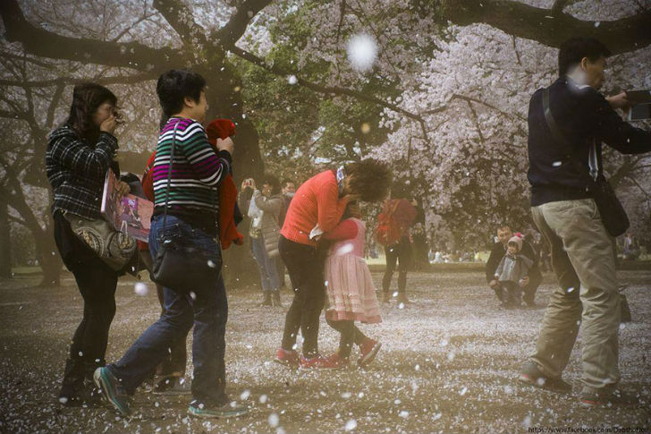 Фотография: Волшебные фотографии цветущей сакуры от National Geographic №10 - BigPicture.ru
