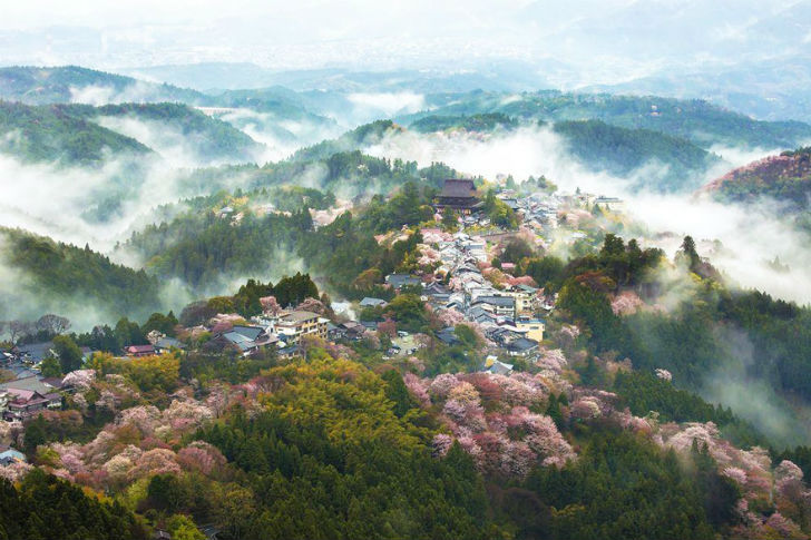 Фотография: Волшебные фотографии цветущей сакуры от National Geographic №3 - BigPicture.ru