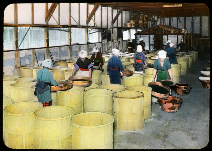 как проходило производство чая в Японии начала XX века