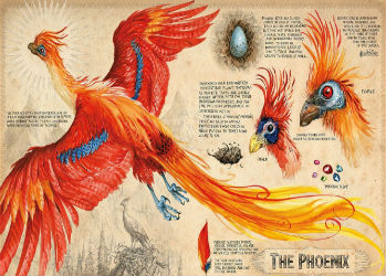 Волшебные иллюстрации книг о Гарри Поттере