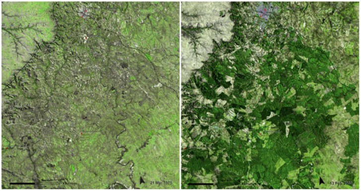 Фотография: Глобальное изменение климата в фотографиях NASA: до и после №12 - BigPicture.ru
