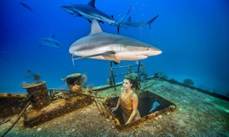 Фотография: Бразильская модель окунулась в воду с акулами, чтобы защитить морских хищников №1 - BigPicture.ru